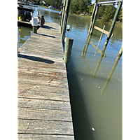 King tide image